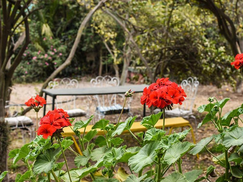 Casa Campo Lindo Olmue Ngoại thất bức ảnh